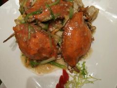 -上海神旺大酒店