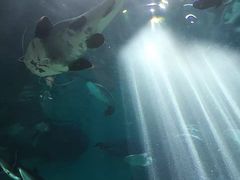 -福州罗源湾海洋世界旅游区