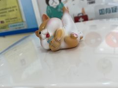 -美联众合动物医院·24h京西诊疗中心