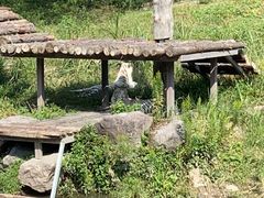 -宁波野生动物园