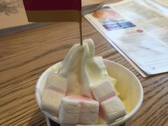 -JW德国冻酸奶Frozen Yogurt(龙湖成都滨江天街店)