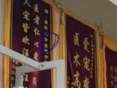 -美联众合动物医院·24h转诊中心
