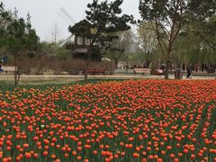 -长春公园(普阳街道)