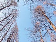 -云间粮仓
