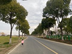 -漕湖湿地公园