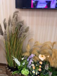 -东莞壹加壹整形美容医院