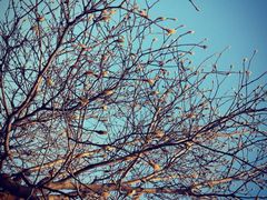 iphone_upload_pic-横店影视城明清宫苑园区