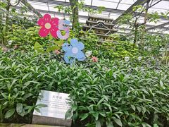 -南宫五洲植物乐园