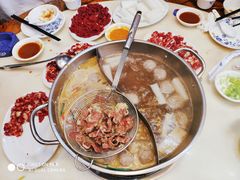 吊龙-陈记顺和潮汕牛肉火锅(韩江路店)