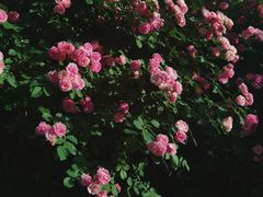 -奥林匹克森林公园北园-停车场