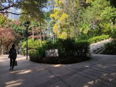 -九龙公园