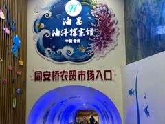 -常州海昌海洋探索馆
