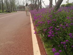 -白鹭湾湿地公园