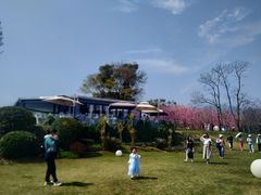 -福建鲤鱼洲酒店