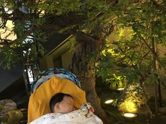 -绿茶餐厅(成都太古里店)