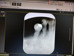 -上海市徐汇区口腔医院