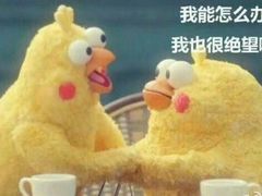 -加州红歌声宴KTV(白石洲店)