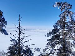 -瓦屋山景区