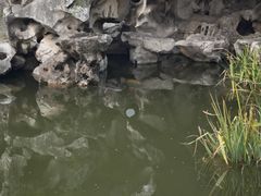 -双东酒店(东关街店)