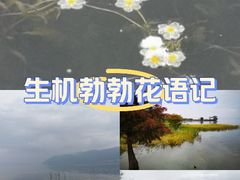 -才村湿地公园
