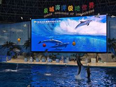 -泉城欧乐堡海洋极地世界