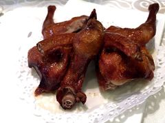 乳鸽-新成海港大酒楼(康华路店)