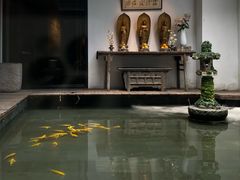 -觀芷隐轩