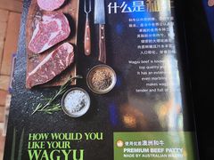 -bluefrog蓝蛙(皇庭广场店)