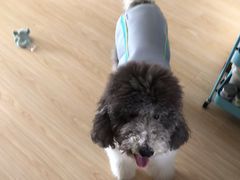 -宠颐生动物医院·心脏科·保险定点(锦阳分院)