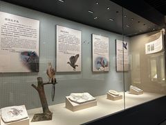 -辽宁古生物博物馆