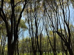 -嘉北郊野公园