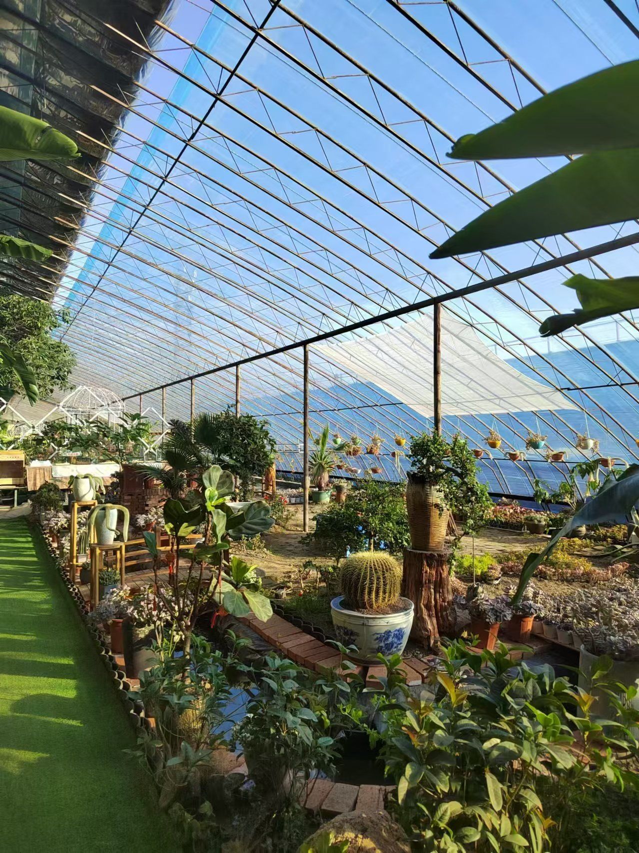 大棚搞出淘气堡