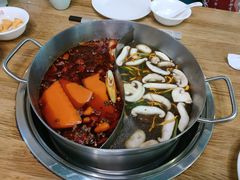 -青瓷火锅料理(西单大悦城店)