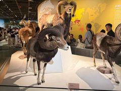 -陕西自然博物馆