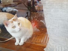 -B.O.M波姆烘焙(凤凰街店)