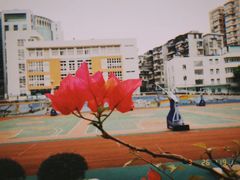 -广州医科大学(越秀校区)