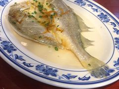 -银珠渔港·海鲜砂锅粥