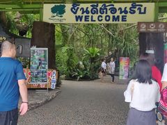 -绿光森林餐厅