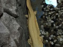 -多彩贵州城极地海洋世界