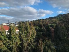 -普陀山风景区-佛顶山
