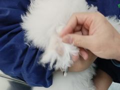 -天津前进宠物医院(前进道店)