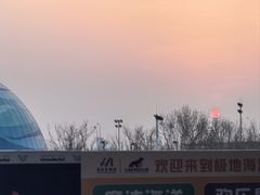 -海合安天津极地海洋公园