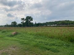 -嘉北郊野公园