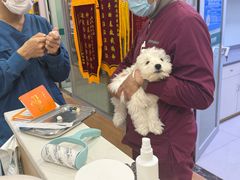 -瑞派宠物医院(锦江店)