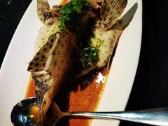 清蒸老鼠斑-达叔香味海鲜(海棠68环球美食街店)