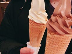-IL paperino帕帕里诺冰激凌