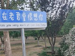 -老君堂公园