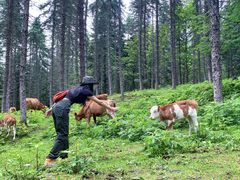 -硗碛藏寨·神木垒景区