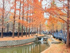 -白水寺森林公园