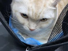 -宠颐生动物医院·小陆分院